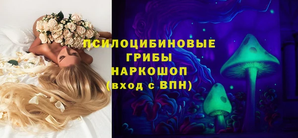 кокс Арсеньев