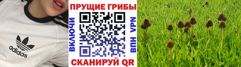 Галлюциногенные грибы MAGIC MUSHROOMS hydra зеркало Белогорск